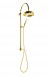 Sapho Antea zestaw prysznicowy bez baterii ze słuchawką i deszczownicą 20 cm retro złoty SET035