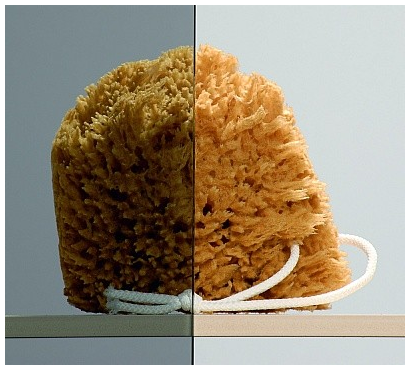 Radaway Premium Plus C/D kabina kwadratowa 100x100 drzwi przesuwne chrom grafitowe Easy Clean 30443-01-05N