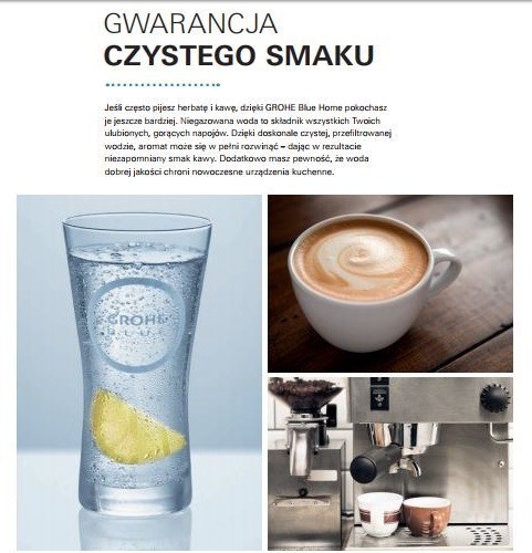 Grohe Blue Minta Pure zestaw startowy stal 31345DC2