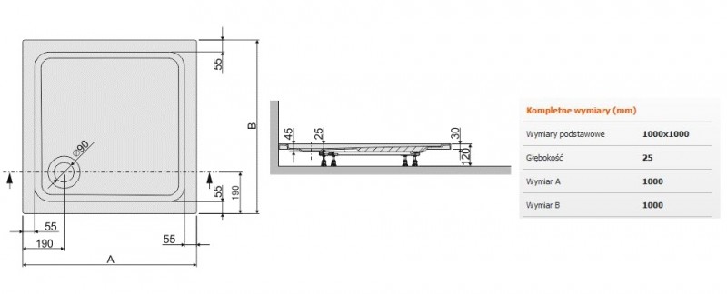 Sanplast Free Line B/FREE brodzik kwadratowy 100x100x2,5 akryl biały 615040404001000