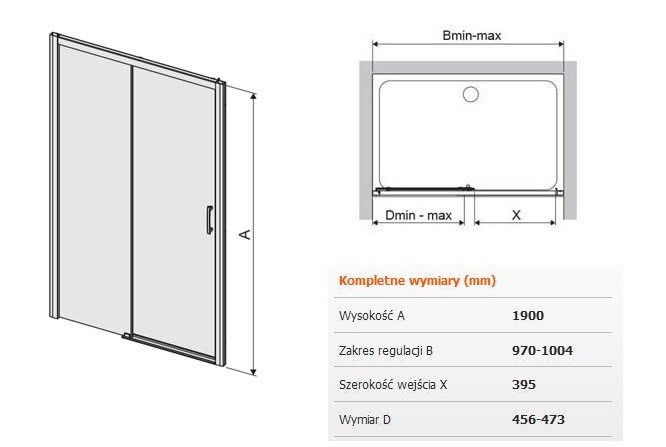 Sanplast FreeZone D2L/FREEZONE drzwi do wnęki przesuwane lewe 100 chrom przeźroczyste 600271311038401