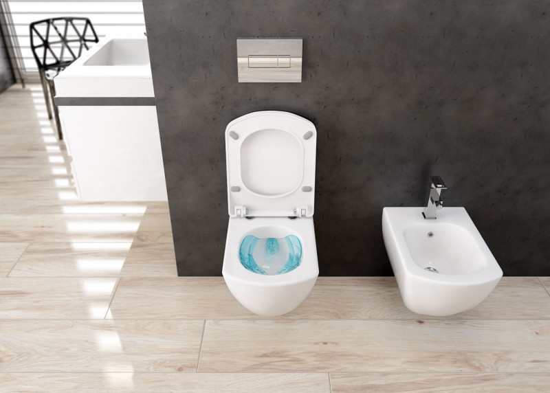 Deante Anemon bidet wiszący 50cm biały CDZ6BPW
