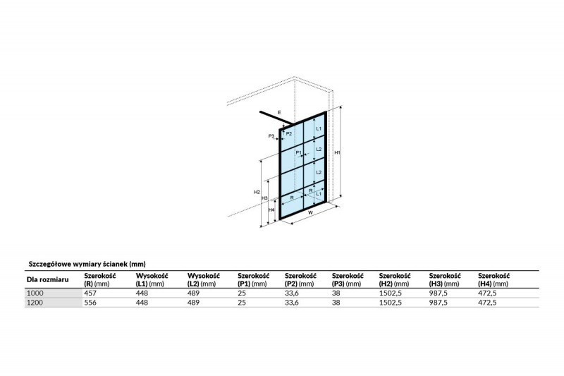 Excellent Fabrika kabina typu Walk-In 100 cm czarny krata Clean Control KAEX.4006.1000.LP