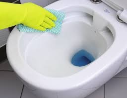 Ideal Standard Eurovit muszla WC wisząca Rimless Cut 52x35cm K881001