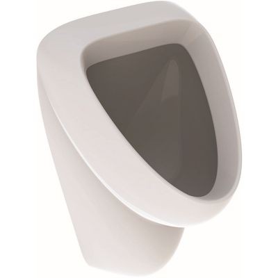 Geberit Aller pisuar dopływ u góry, odpływ do tyłu lub w dół 35x35 cm ceramika biały 236600000