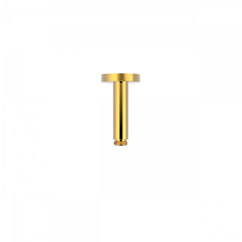 Tres ramię sufitowe 10cm do głowicy natryskowej złoty polerowany 1.34.521.02.OR
