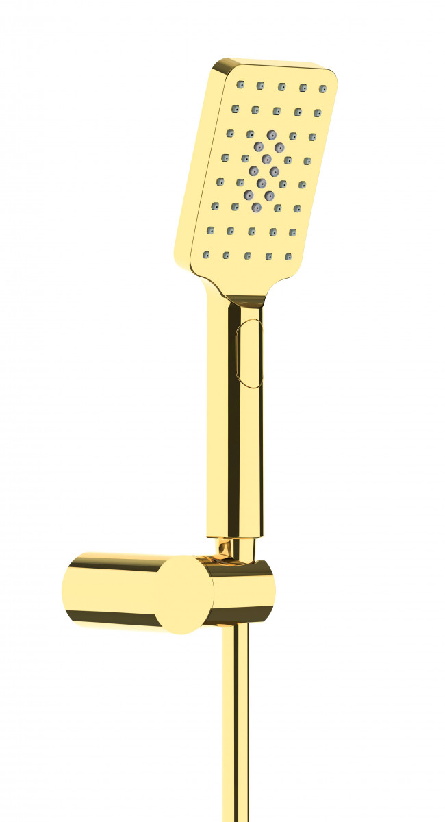 Deante Alpinia zestaw prysznicowy punktowy złoty NGAZ41K