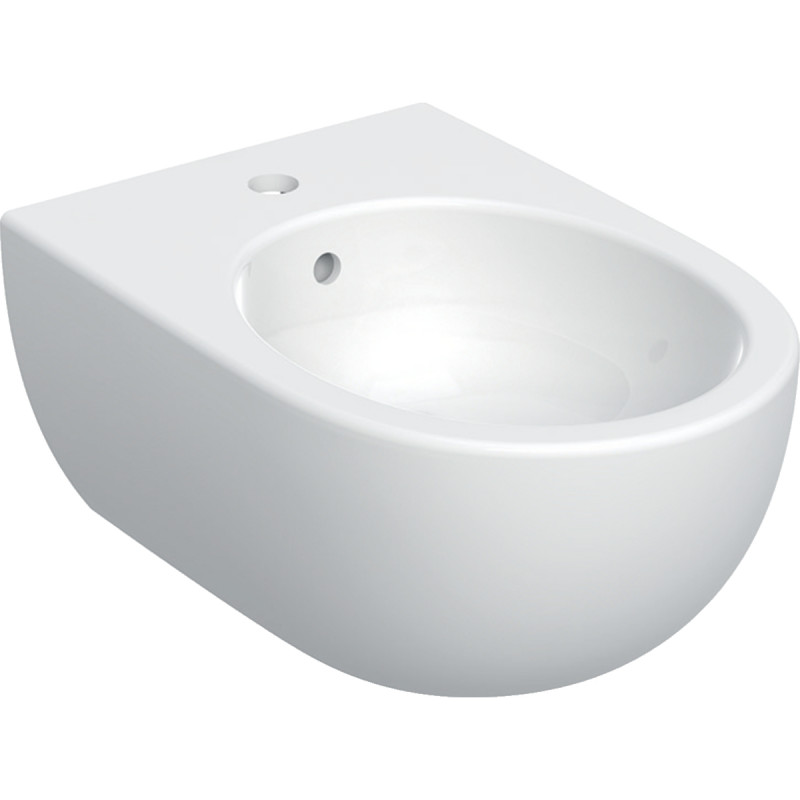 Geberit Selnova Premium bidet wiszący 53 cm kryte mocowania ceramika biały 501.993.00.1