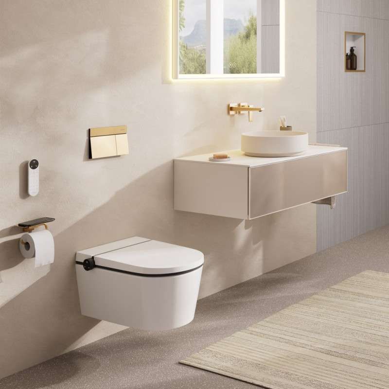 Hansgrohe iFrame Element E przycisk spłukujący WC brąz szczotkowany 66003140