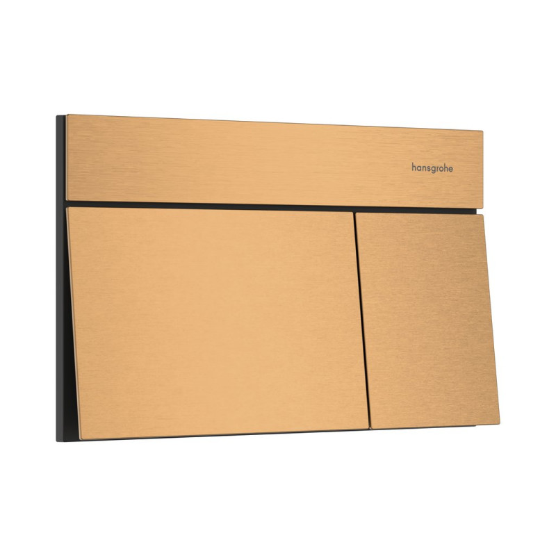 Hansgrohe iFrame Element E przycisk spłukujący WC brąz szczotkowany 66003140