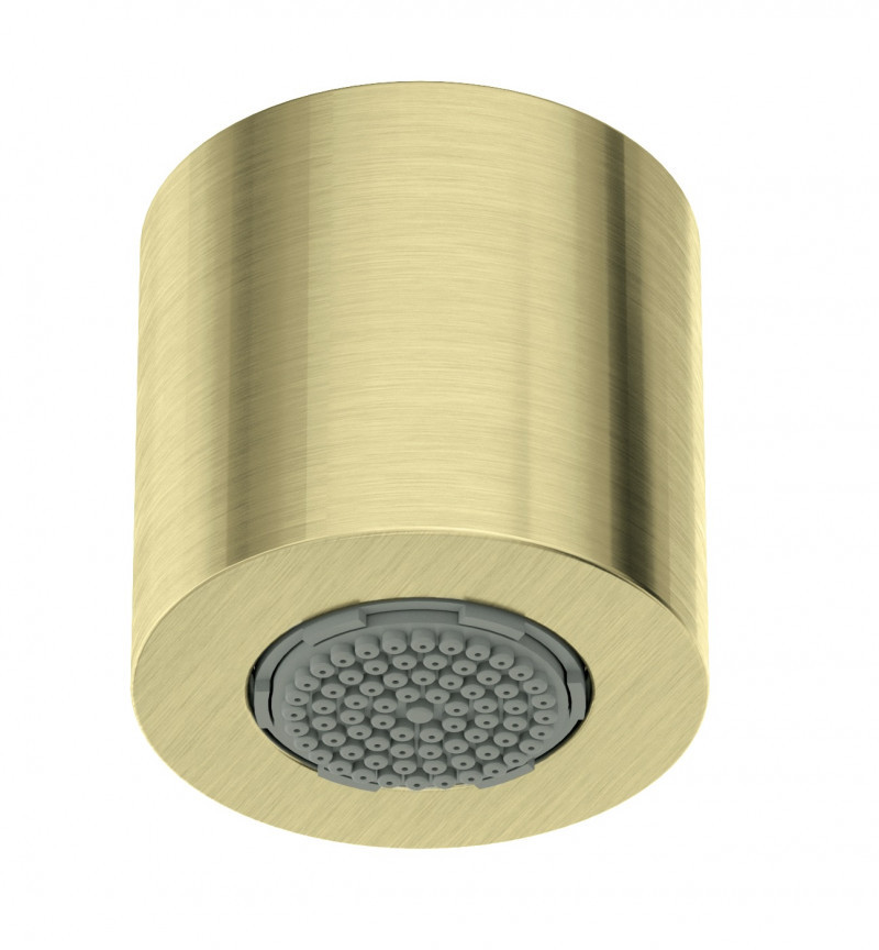 Deante Silia deszczownica głowica prysznicowa 1-funkcyjna złoty szczotkowany NQSR30K